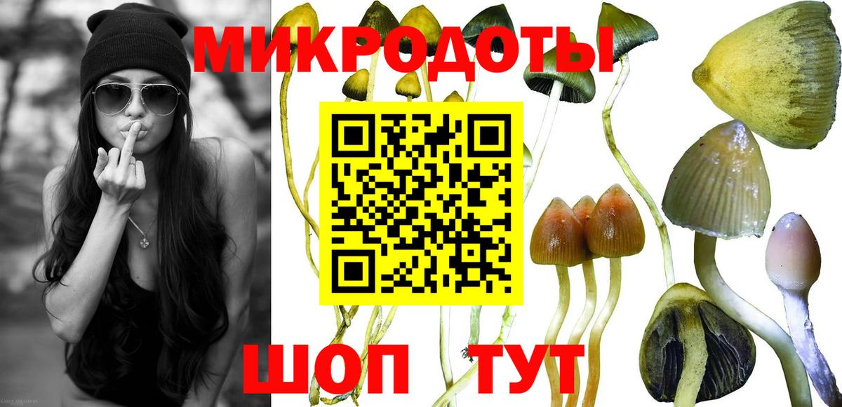 Туапсе  Галлюциногенные грибы мицелий  Вход с VPN 