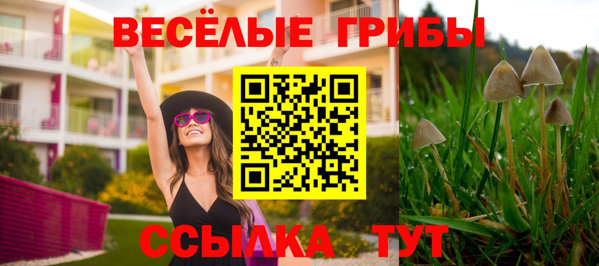 Псилоцибиновые грибы мицелий Туапсе